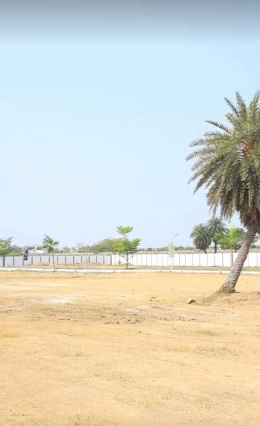  Residential Plot 600 Sq.ft. for Sale in Walajapet, Vellore