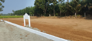 Residential Plot for Sale in Gst Road, Chennai