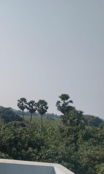 3 BHK Apartment 1300 Sq.ft. for Rent in Lalganj, Vaishali