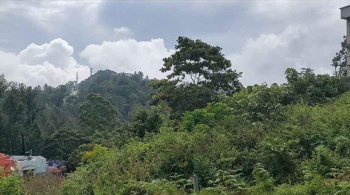  Residential Plot for Sale in Yercaud, Salem