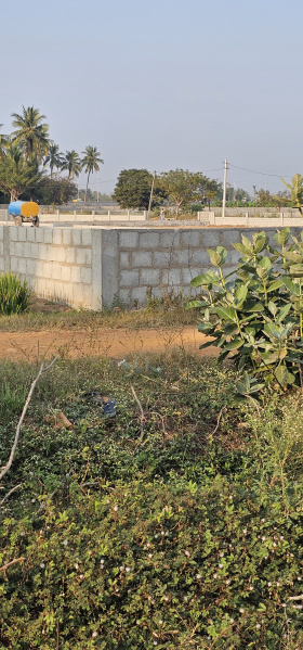  Agricultural Land 8640 Sq.ft. for Sale in Renigunta, Tirupati