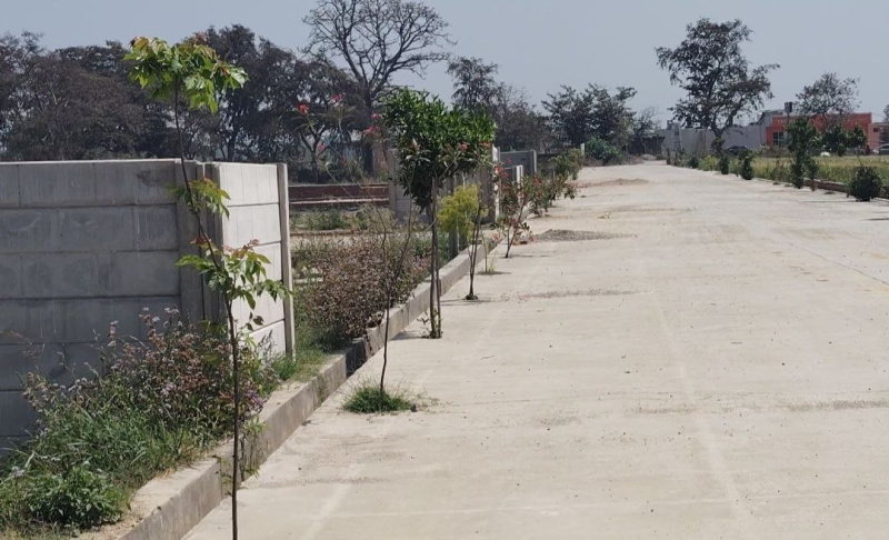  Residential Plot 2000 Sq.ft. for Sale in Ramnagar Road, Kashipur