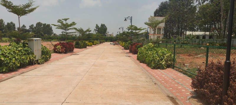  Residential Plot 1200 Sq.ft. for Sale in Whitefield, Bangalore