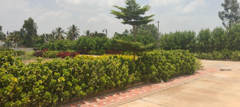  Residential Plot 1200 Sq.ft. for Sale in Whitefield, Bangalore