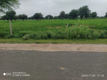  Agricultural Land for Sale in Kalwar Road, Jaipur