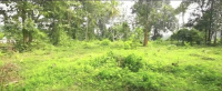  Residential Plot for Sale in Kozhencherry, Pathanamthitta