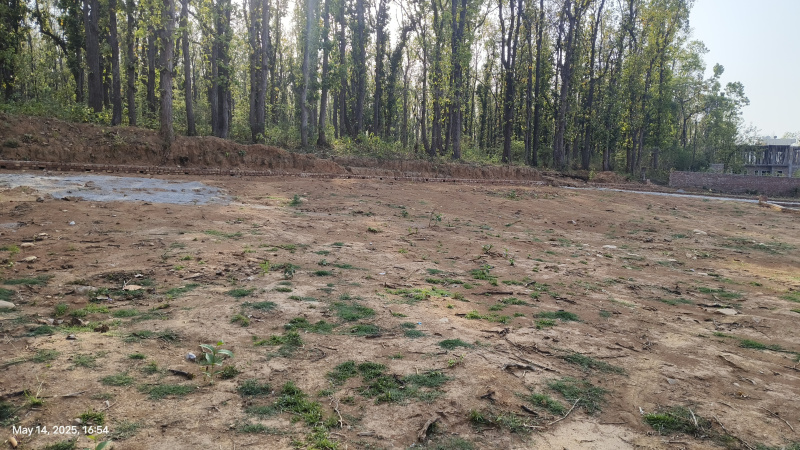 Residential Plot 229 Sq. Yards for Sale in Raipur, Dehradun