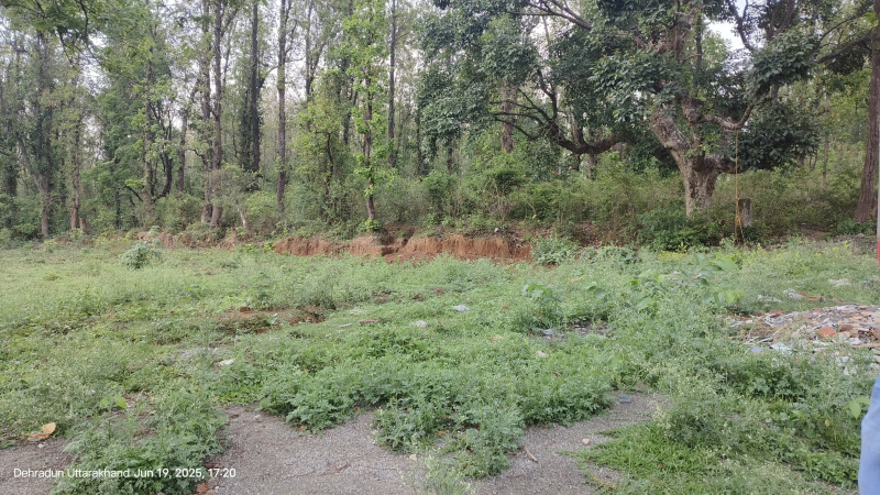  Residential Plot 208 Sq. Yards for Sale in Raipur Road, Dehradun