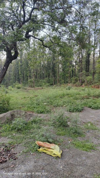  Residential Plot 333 Sq. Yards for Sale in Raipur Road, Dehradun