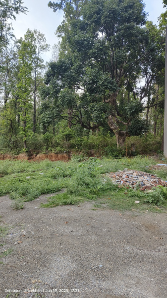  Residential Plot 333 Sq. Yards for Sale in Raipur Road, Dehradun