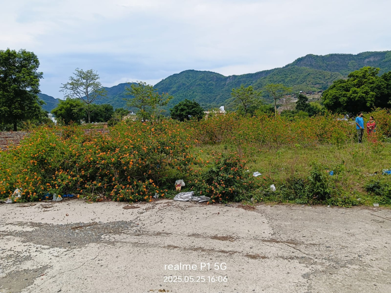  Residential Plot 208 Sq. Yards for Sale in Sahastradhara Road, Dehradun
