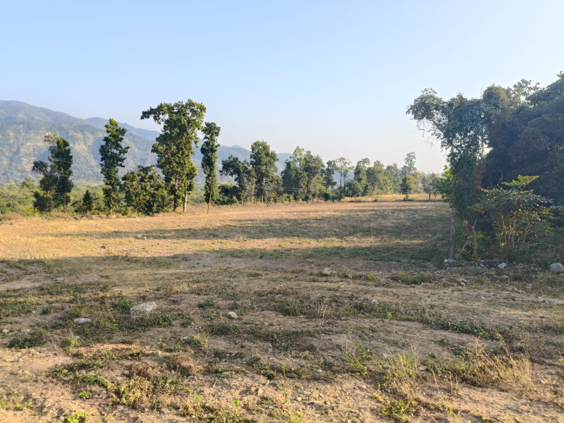  Residential Plot 355 Sq. Yards for Sale in Thano, Dehradun