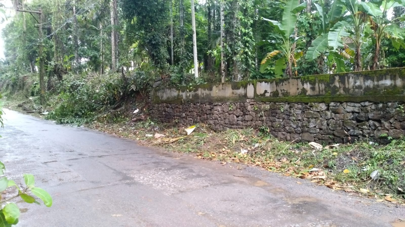  Residential Plot 100 Cent for Sale in Arayedathpalam, Kozhikode