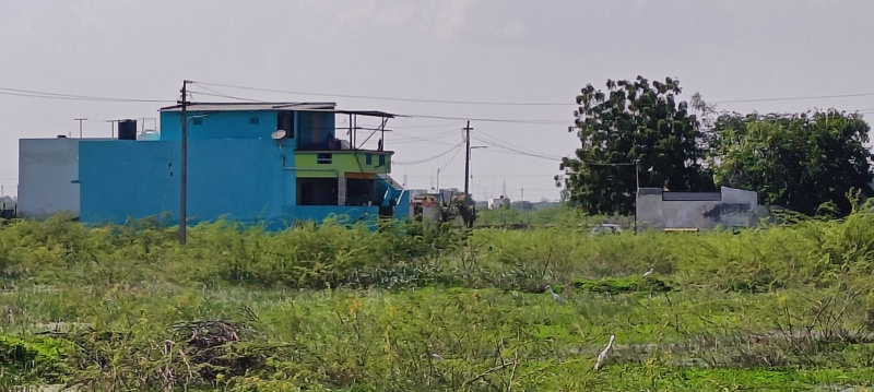  Residential Plot 5 Cent for Sale in Sankaraperi, Thoothukudi