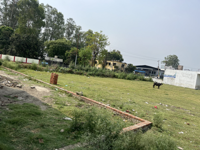  Commercial Land 20000 Sq.ft. for Sale in Gadarpur, Udham Singh Nagar
