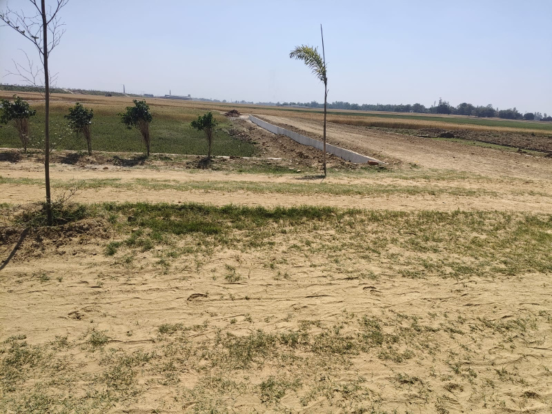  Residential Plot 1000 Sq.ft. for Sale in Maniram, Gorakhpur