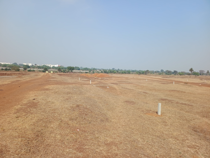  Residential Plot 1000 Sq.ft. for Sale in Naya Raipur, Raipur