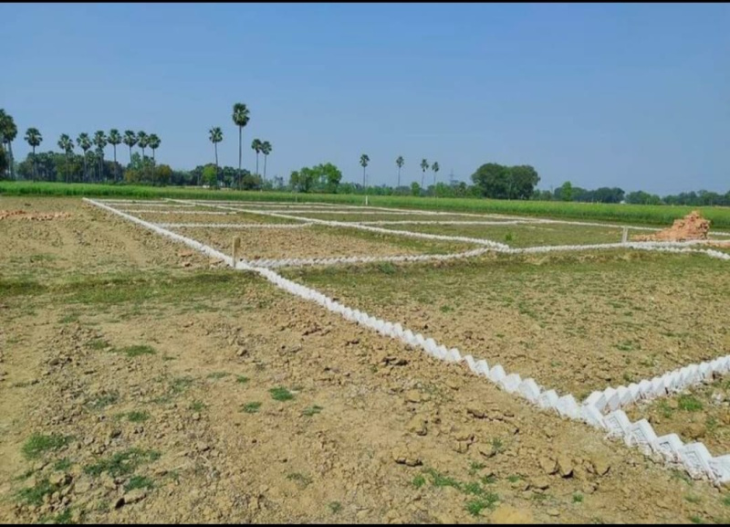  Residential Plot 1000 Sq.ft. for Sale in Naubatpur, Patna