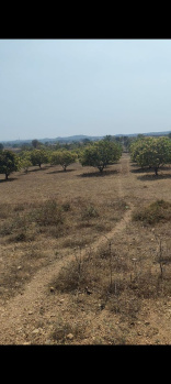  Agricultural Land for Sale in Narayanpet, Mahbubnagar
