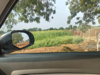  Agricultural Land for Sale in Shabad, Rangareddy
