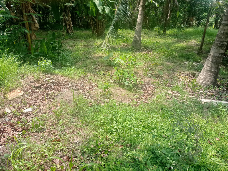  Residential Plot 10 Cent for Sale in Ayoor, Kollam