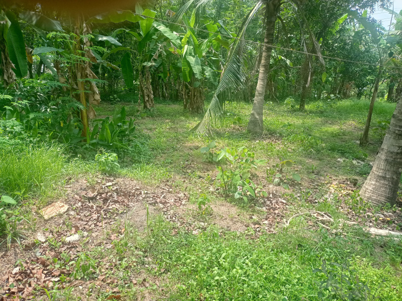  Residential Plot 10 Cent for Sale in Ayoor, Kollam