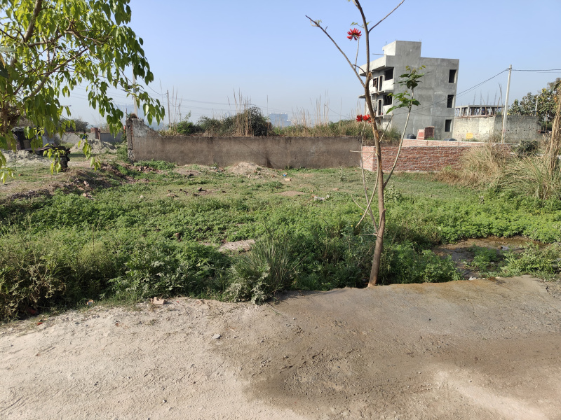  Residential Plot 2700 Sq.ft. for Sale in Knowledge Park 2, Greater Noida