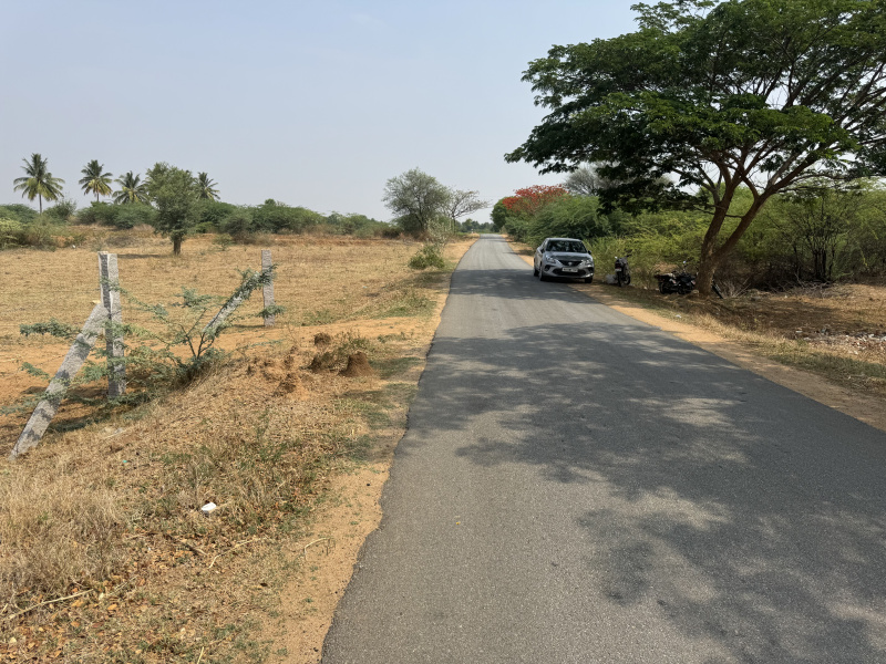  Agricultural Land 3 Acre for Sale in Hindupur, Anantapur