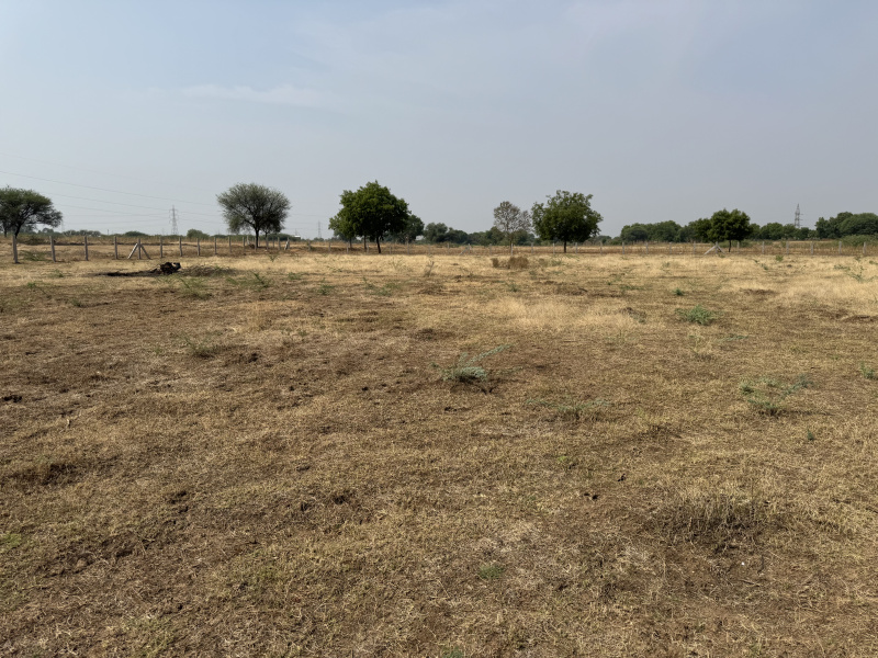  Agricultural Land 3 Acre for Sale in Hindupur, Anantapur