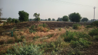  Agricultural Land for Sale in Nandura, Buldana
