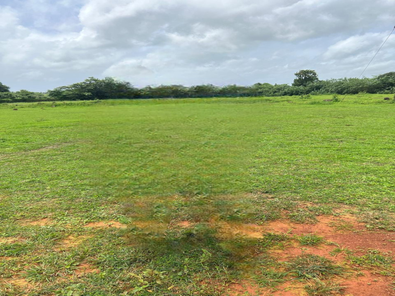  Residential Plot 20 Cent for Sale in Bajpe, Mangalore