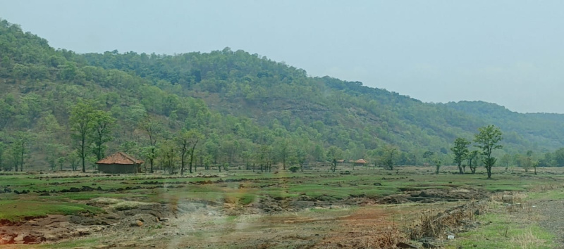  Agricultural Land 72 Acre for Sale in Mahad, Raigad