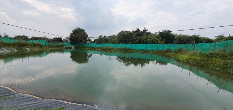 1 BHK Farm House 3 Acre for Sale in Thalli, Hosur