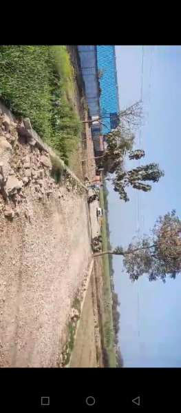  Residential Plot 1350 Sq.ft. for Sale in Rohania, Varanasi