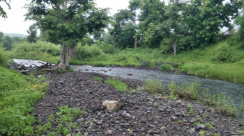 1 RK Farm House for Sale in A B Road, Indore