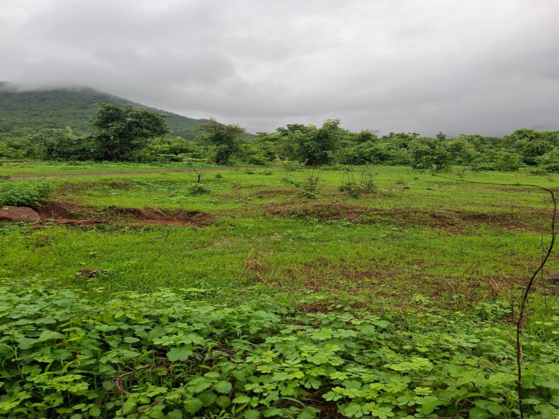 43500 Sq.ft. Agricultural/Farm Land for Sale in Waje, Panvel, Navi Mumbai