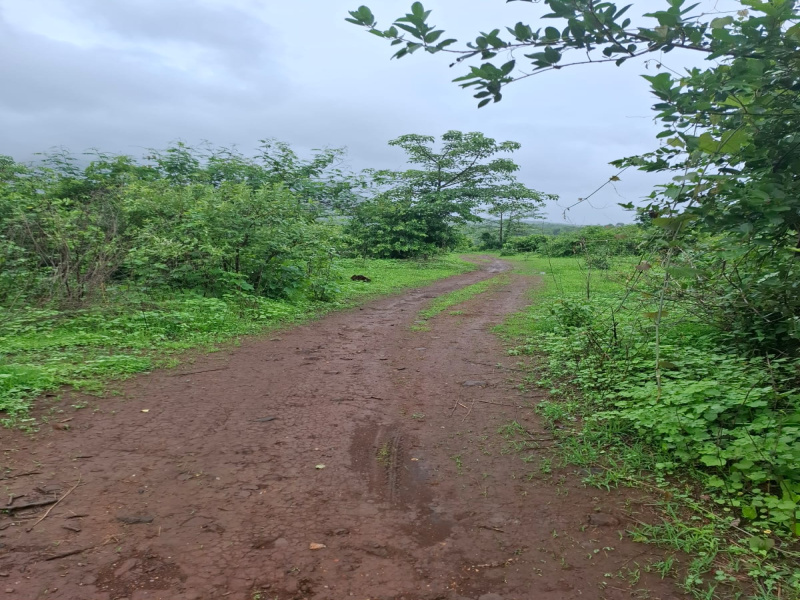 43500 Sq.ft. Agricultural/Farm Land for Sale in Waje, Panvel, Navi Mumbai