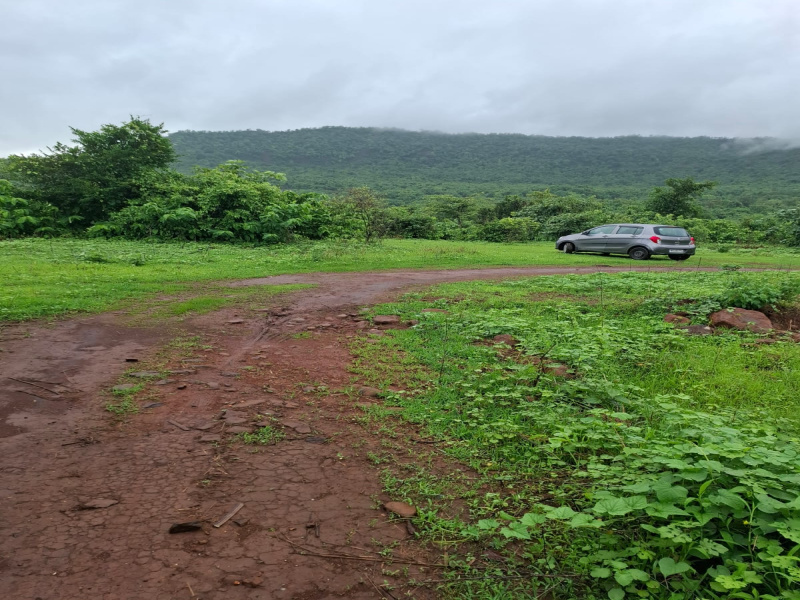 43500 Sq.ft. Agricultural/Farm Land for Sale in Waje, Panvel, Navi Mumbai