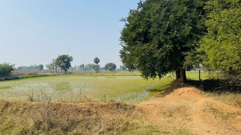  Agricultural Land 25 Acre for Sale in Bhongir, Yadadri Bhuvanagiri