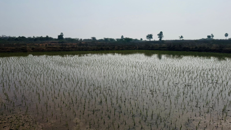  Agricultural Land 25 Acre for Sale in Bhongir, Yadadri Bhuvanagiri