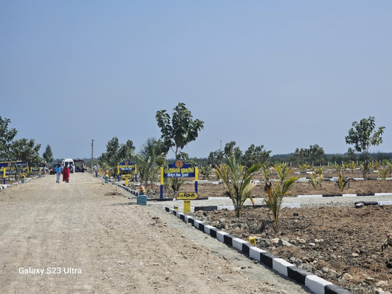  Residential Plot 1200 Sq.ft. for Sale in Tindivanam, Chennai