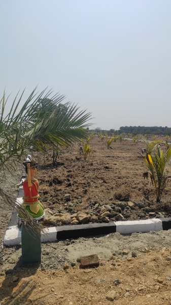  Residential Plot 1200 Sq.ft. for Sale in Tindivanam, Chennai