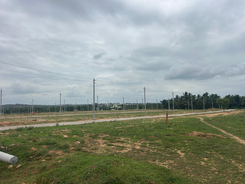  Residential Plot 3500 Sq.ft. for Sale in Shrirangapattana, Mandya