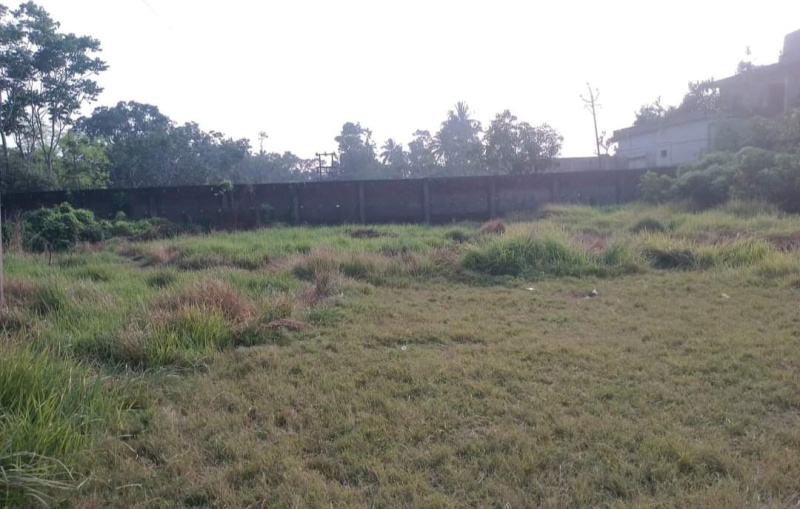  Agricultural Land 60 Dismil for Sale in Amdanga, North 24 Parganas