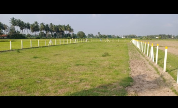  Agricultural Land for Sale in Pudupattinam, Chengalpattu