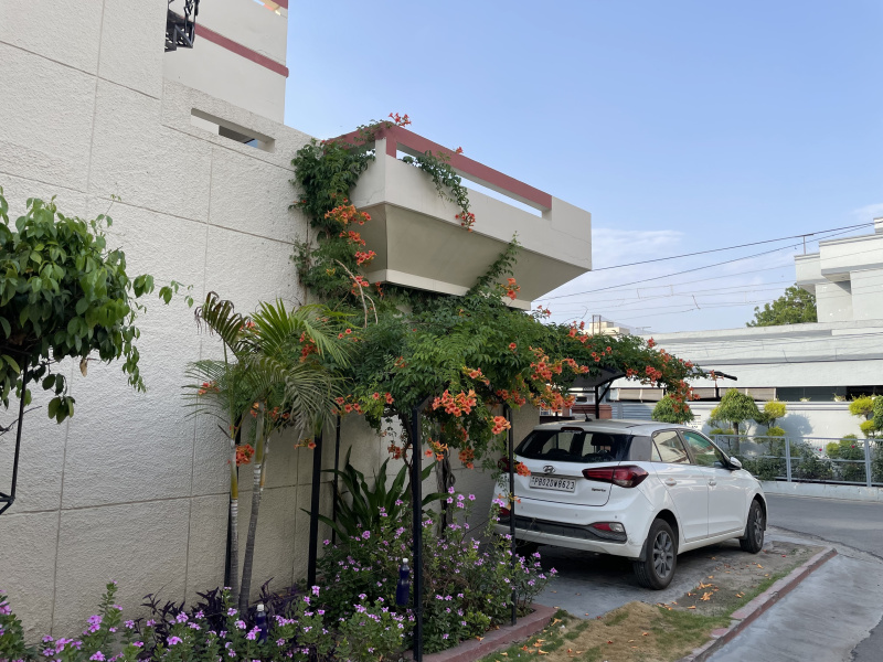 5 BHK House 250 Sq. Yards for Sale in Ranjit Avenue, Amritsar