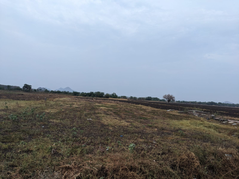  Agricultural Land 33 Cent for Sale in Tadikonda, Guntur
