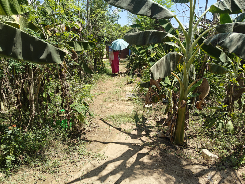  Residential Plot 12 Cent for Sale in Thorredu, Rajahmundry