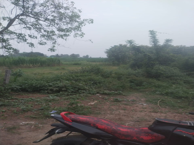  Commercial Land 3924 Sq.ft. for Sale in Sankarapuram, Villupuram