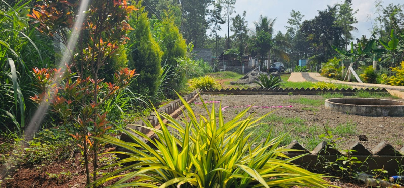  42 Cent Hotels for Sale in Kolli Hills, Namakkal